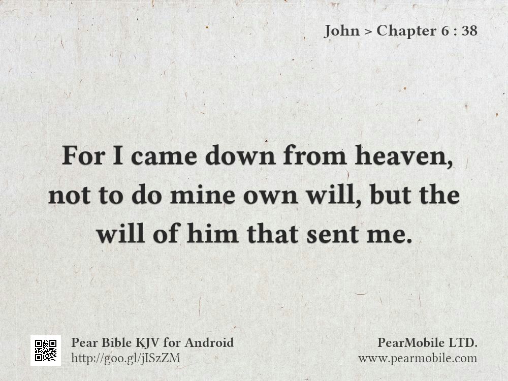 John, Chapter 6:38